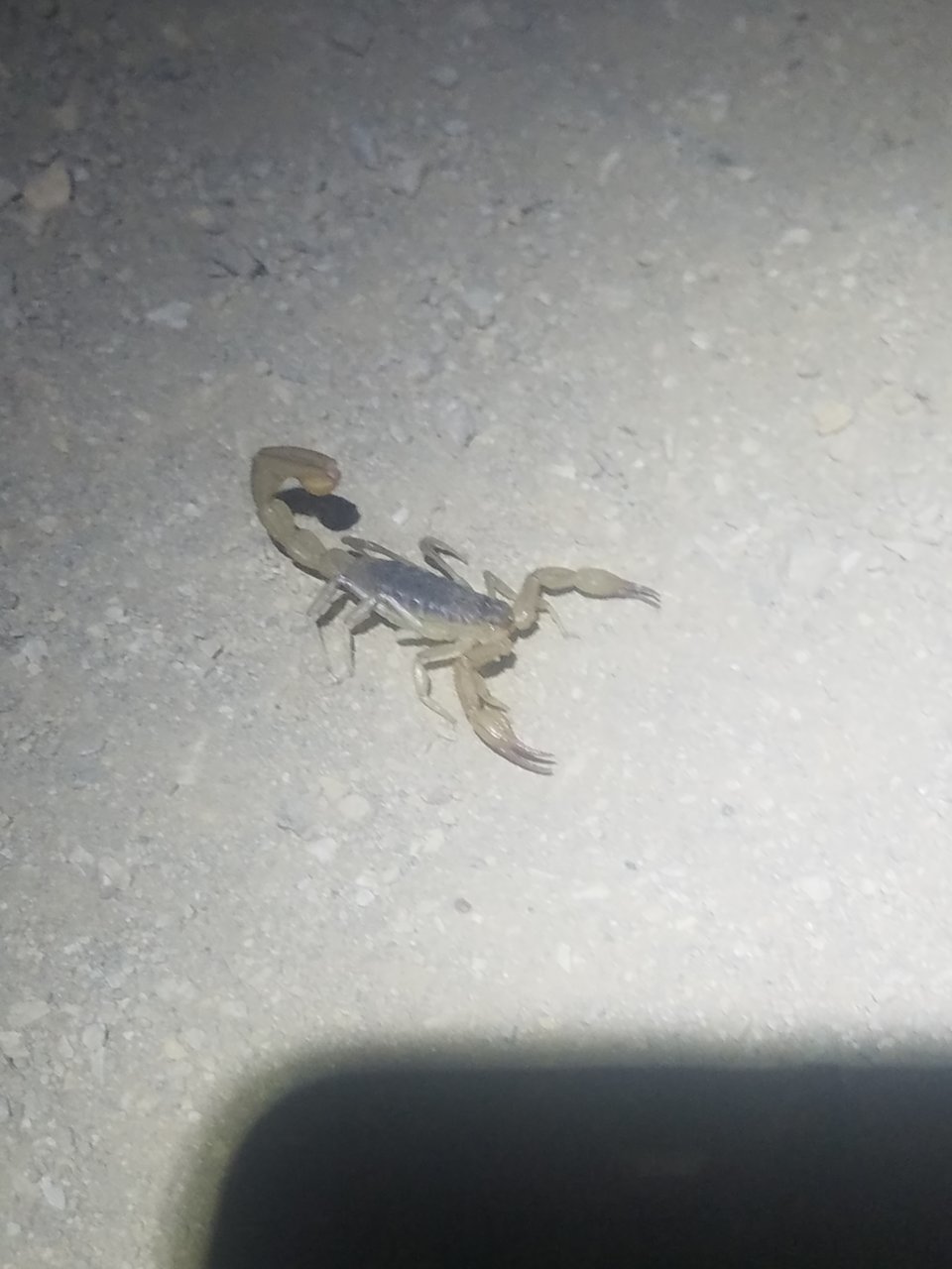 20180807_204552.jpg