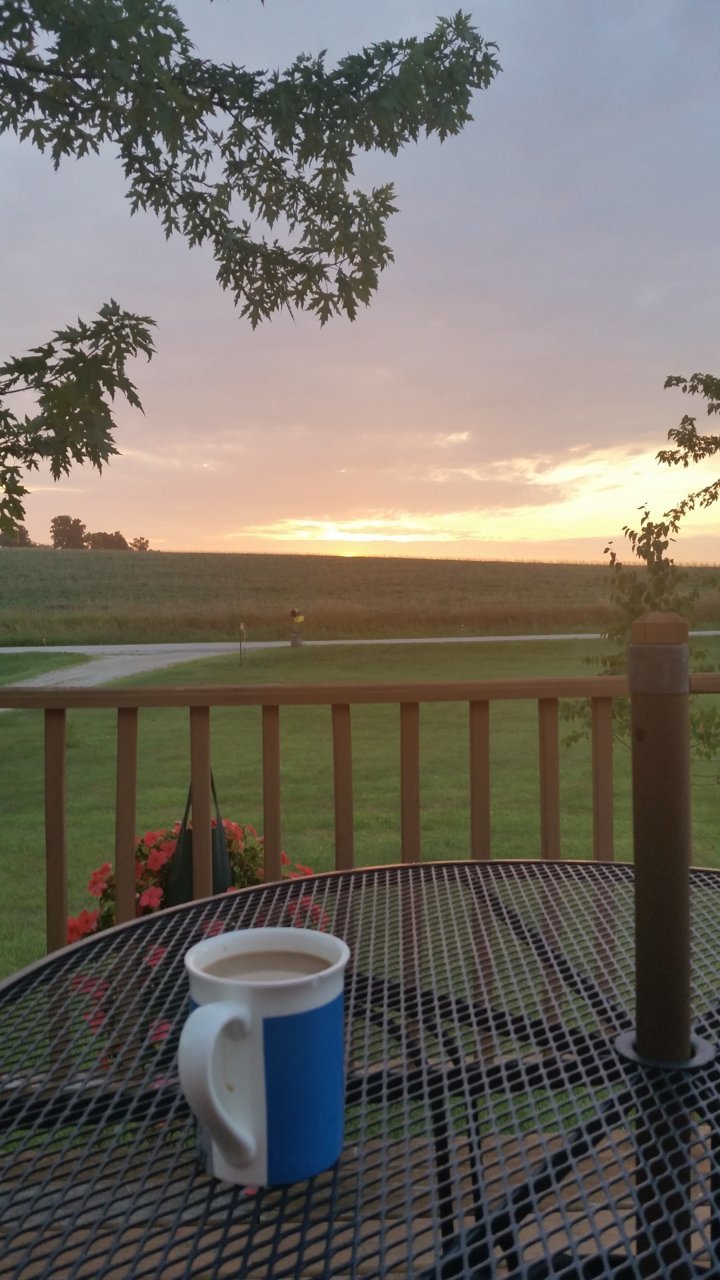 20180808_061154.jpg