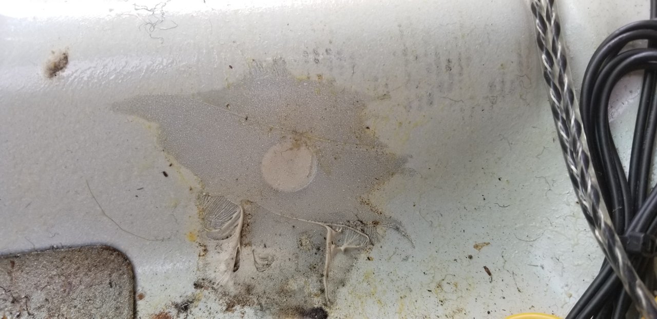 20180808_124319.jpg