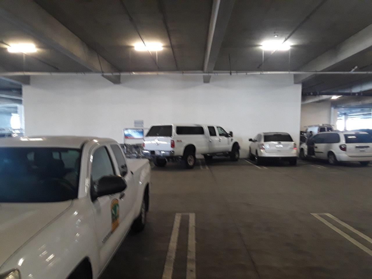 20180809_101746.jpg