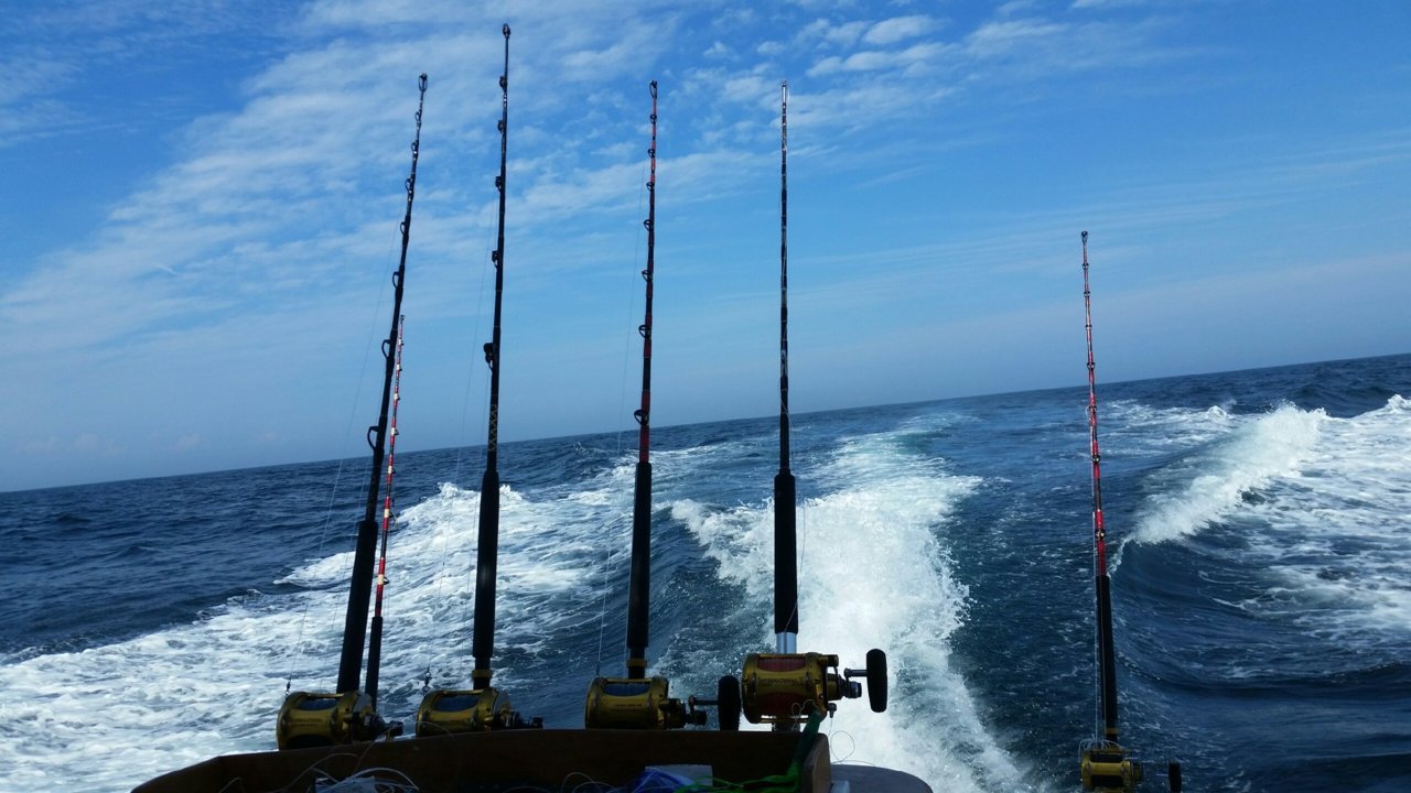 20180809_152845.jpg
