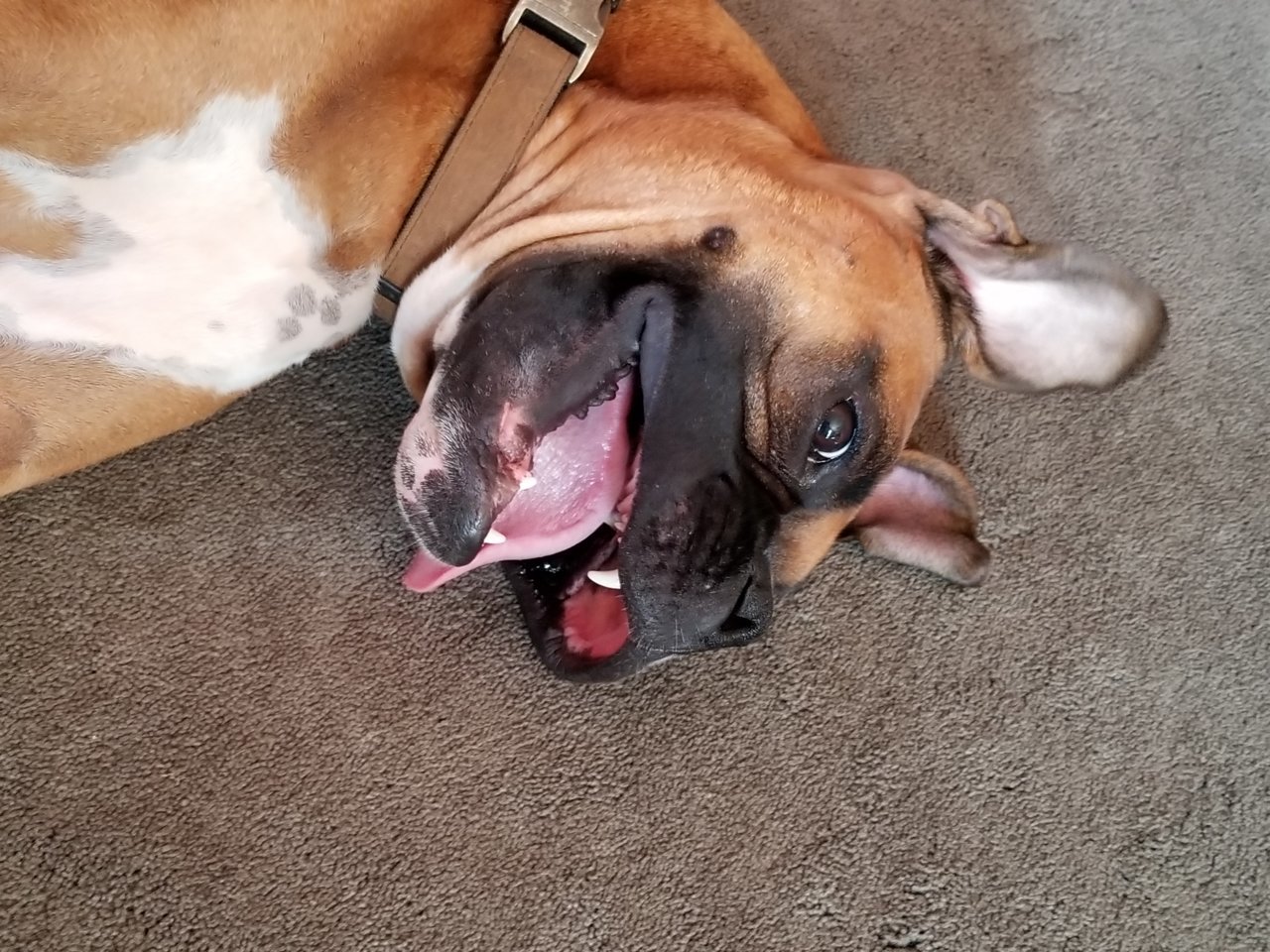 20180809_153032.jpg