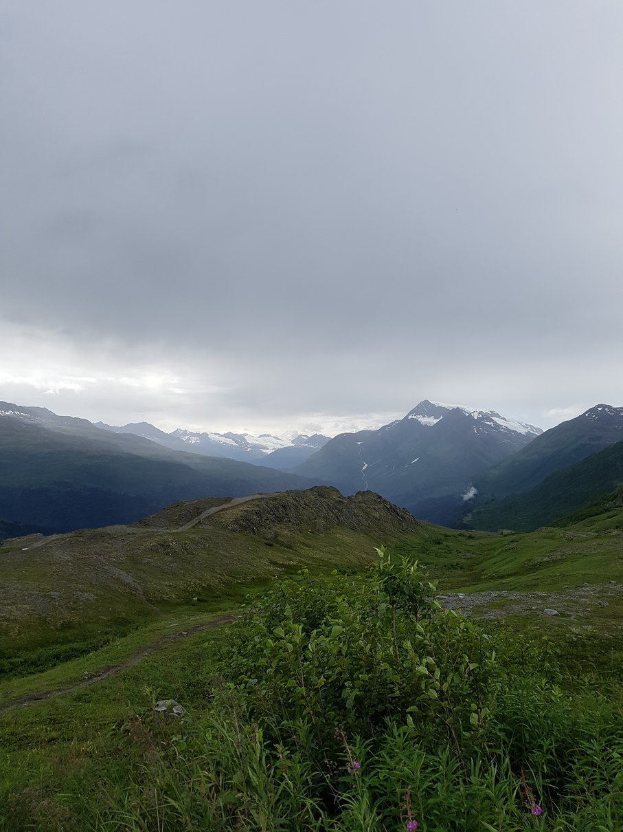 20180809_160553.jpg