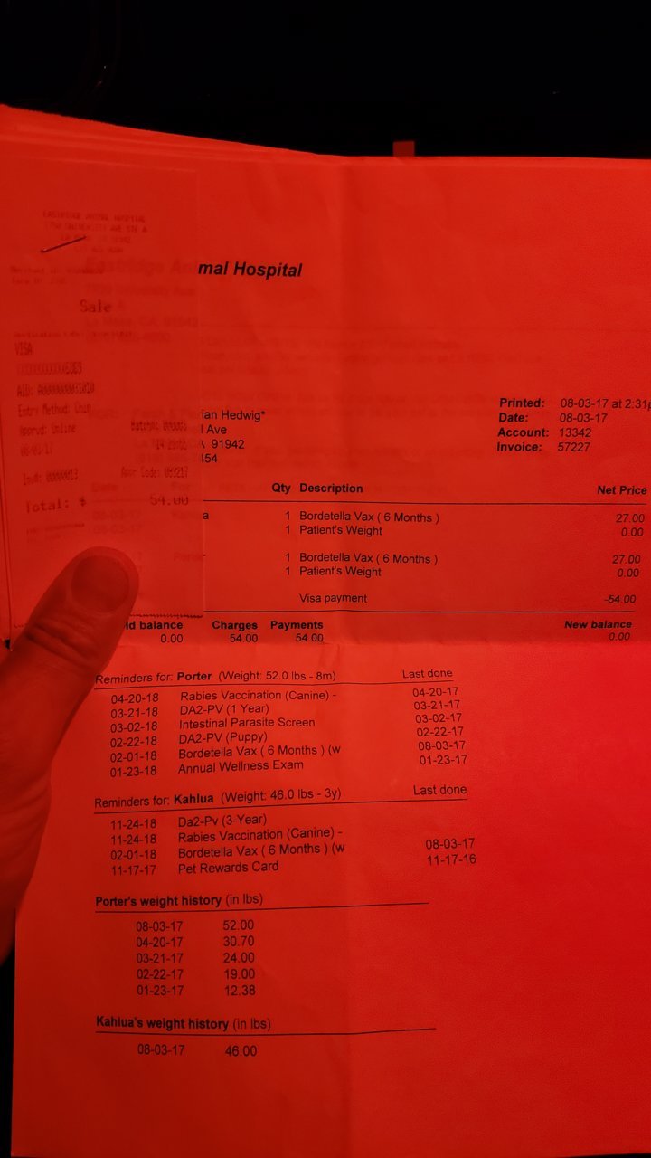 20180809_222524.jpg