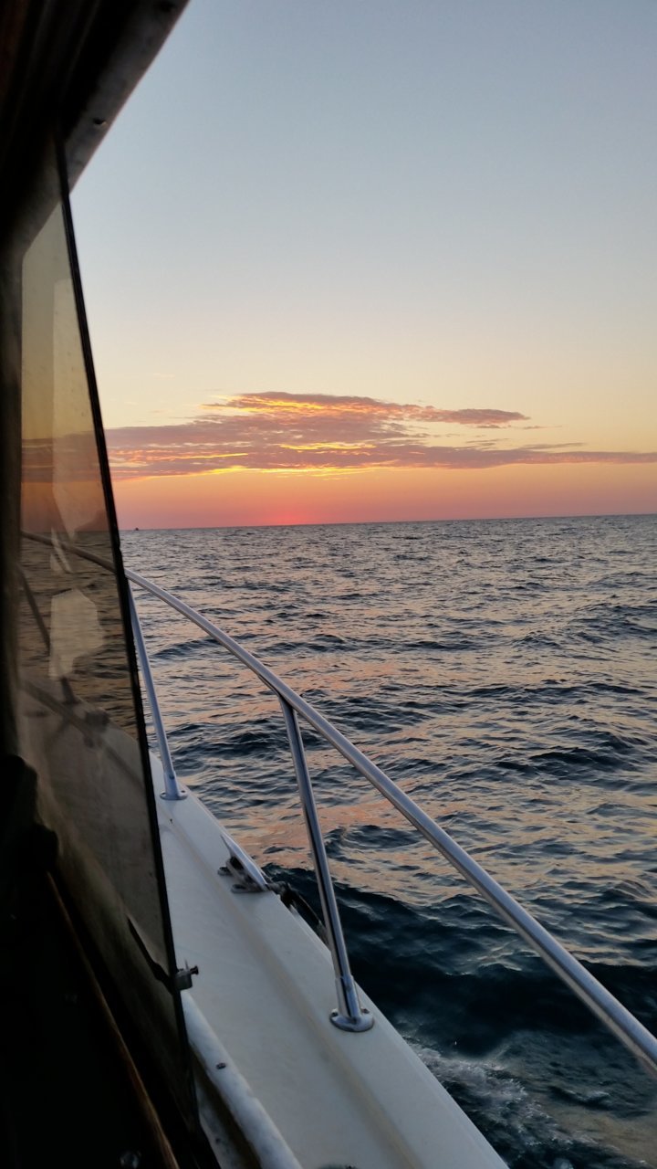 20180810_054933.jpg