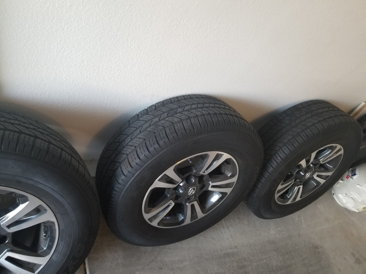 20180810_065134.jpg