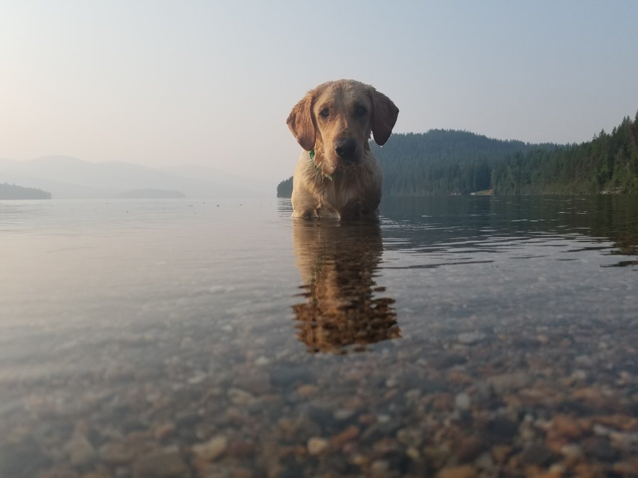 20180810_072417.jpg