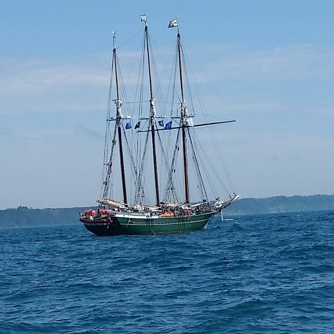 20180810_101706-1.jpg