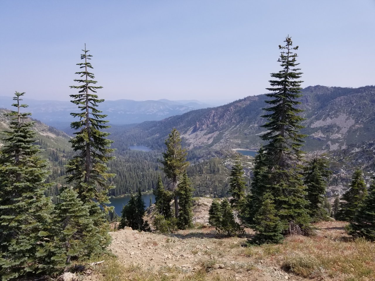 20180811_113652.jpg