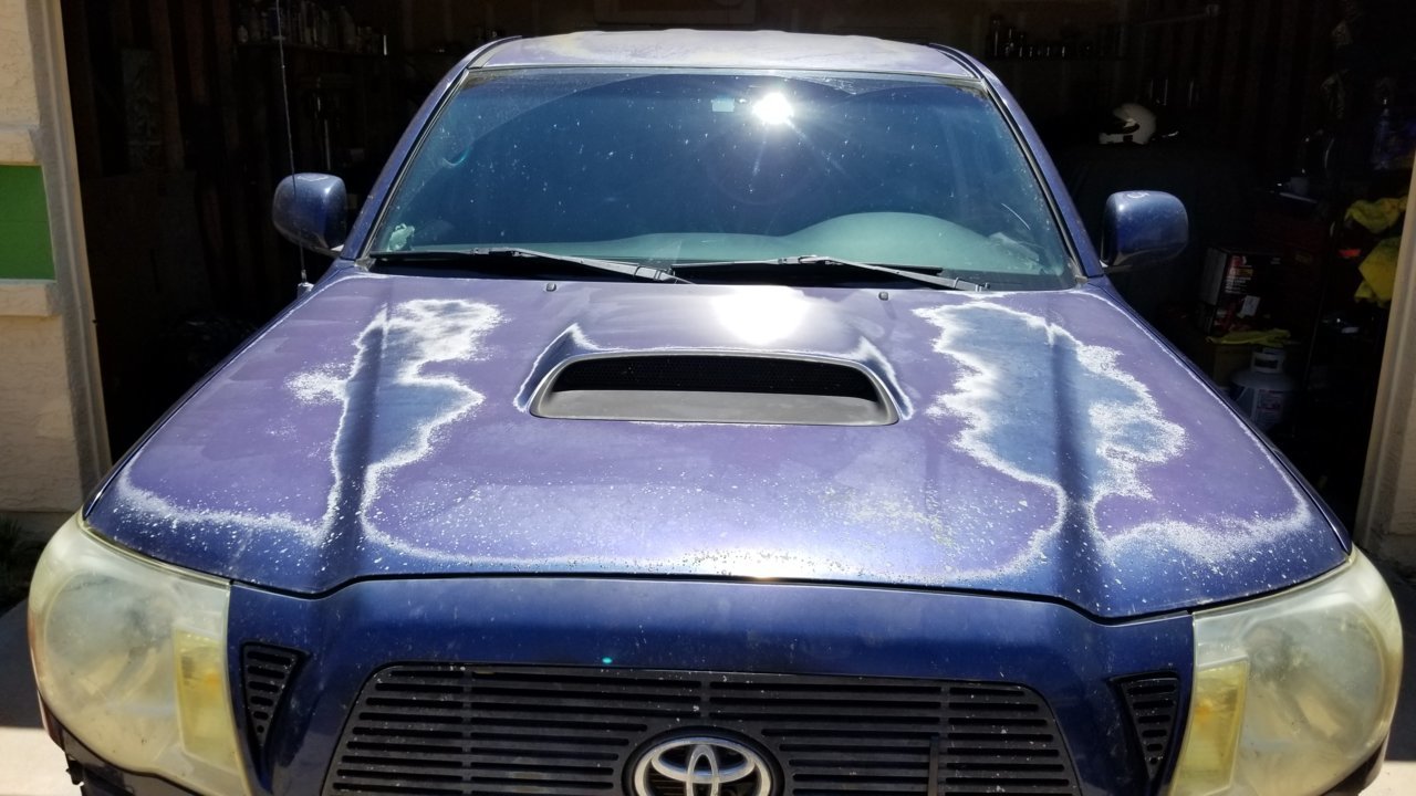 20180811_124913.jpg