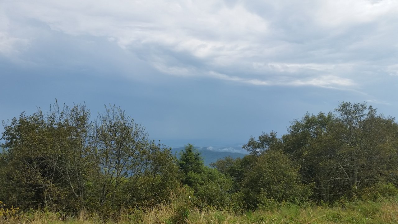 20180811_145120.jpg