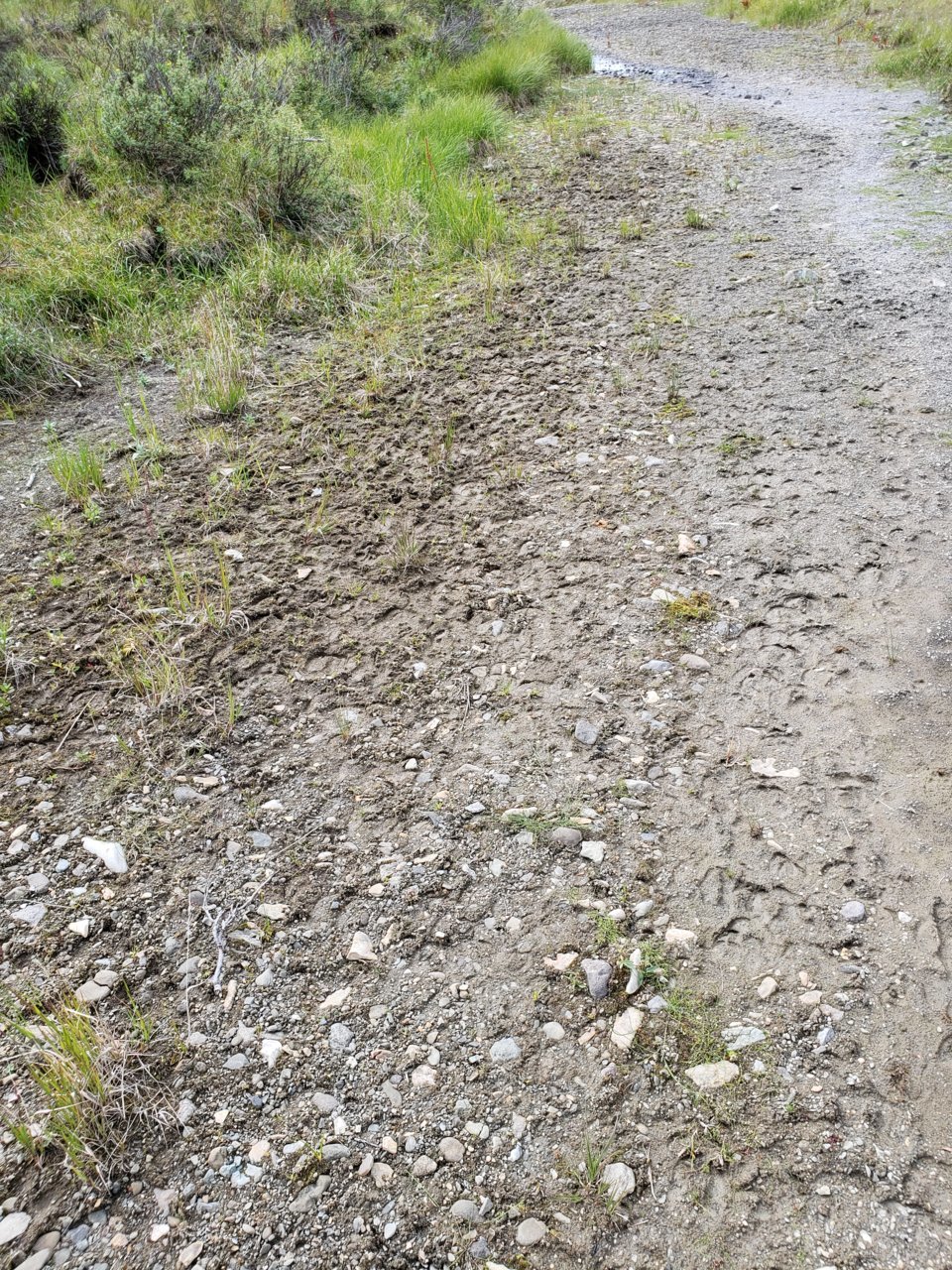 20180811_152843.jpg