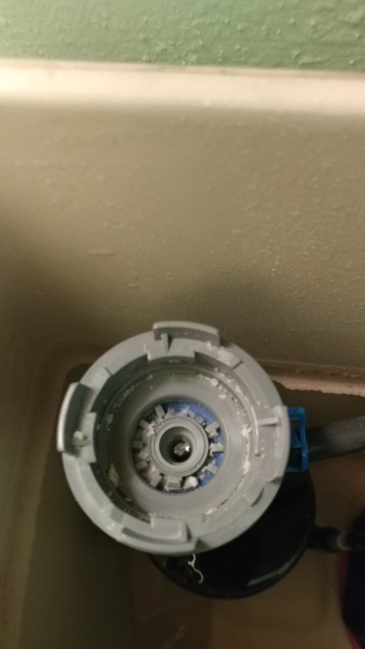 20180811_155508.jpg