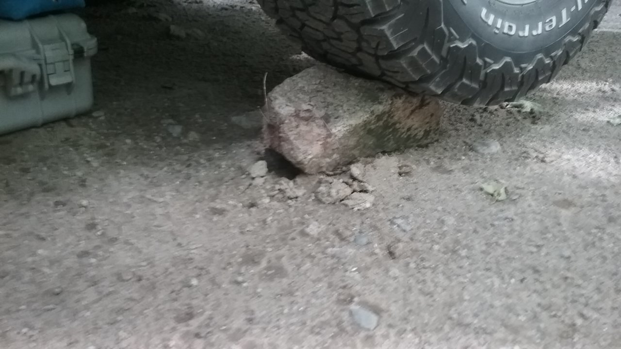 20180811_170153.jpg
