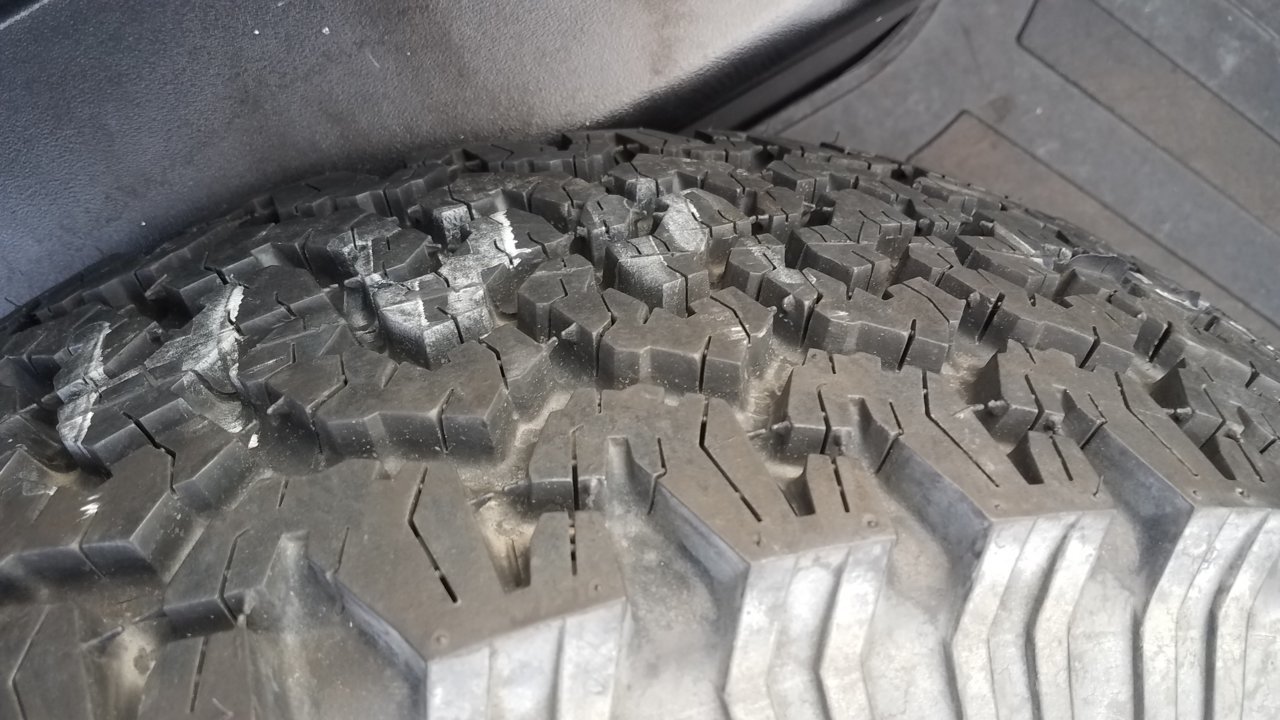20180811_185557.jpg