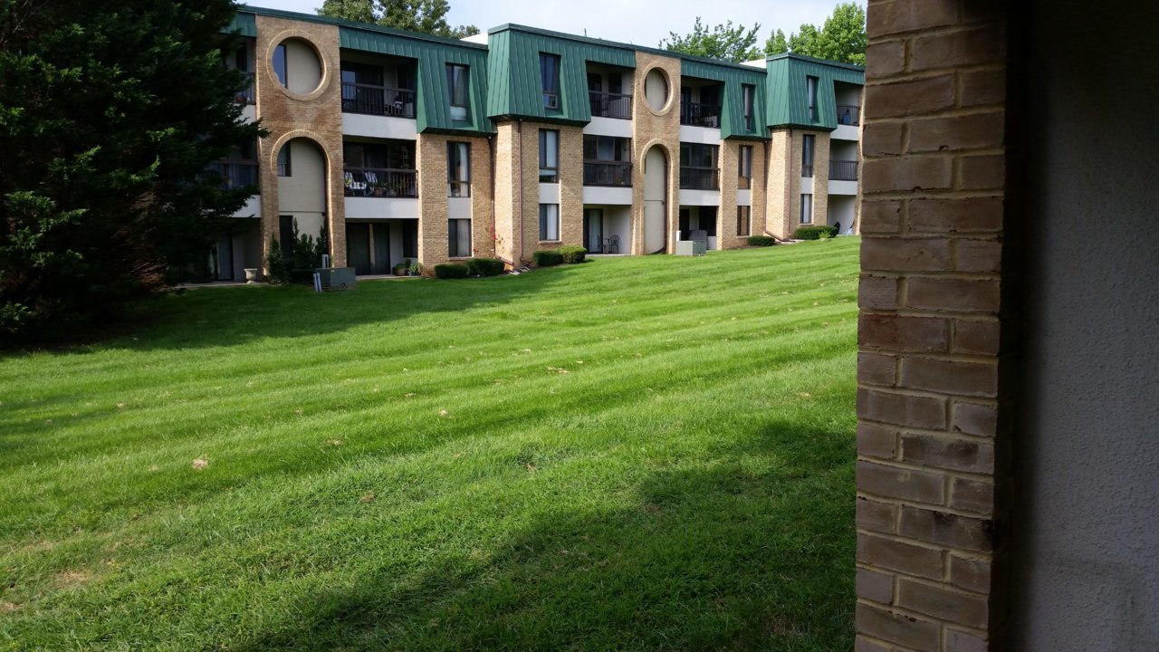 20180812_094419.jpg