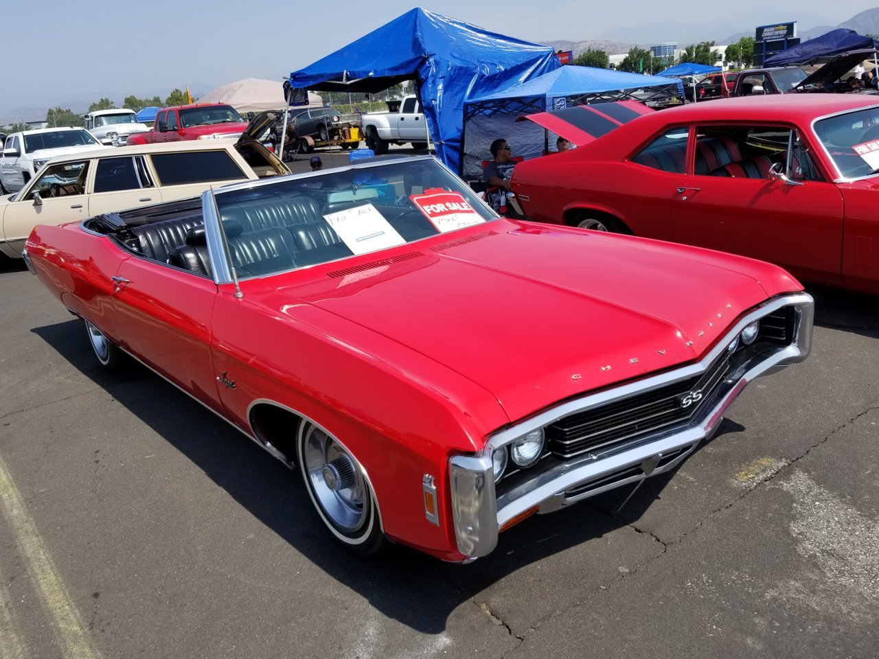 20180812_105948.jpg