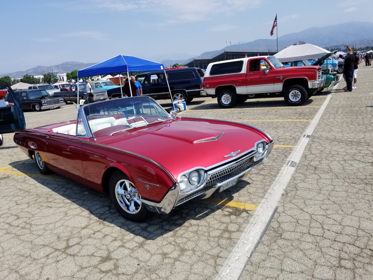 20180812_110332.jpg