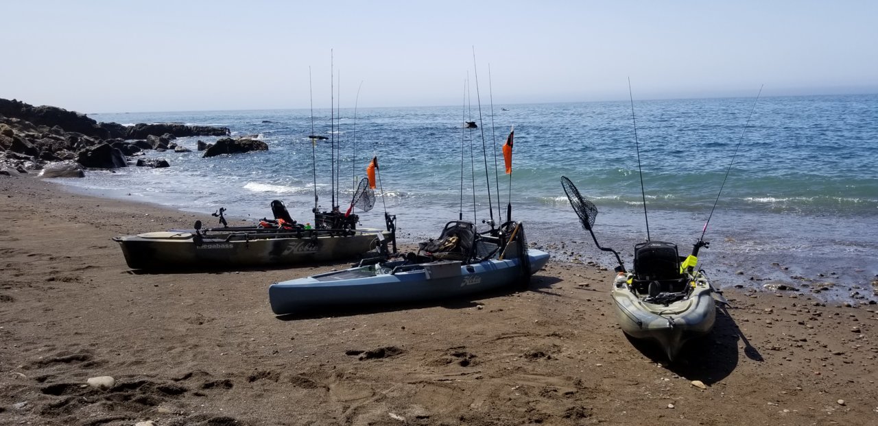 20180812_113641.jpg