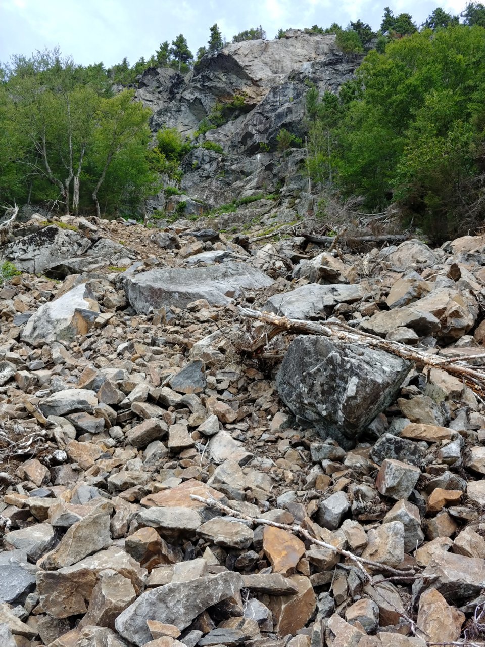 20180812_122149_HDR.jpg