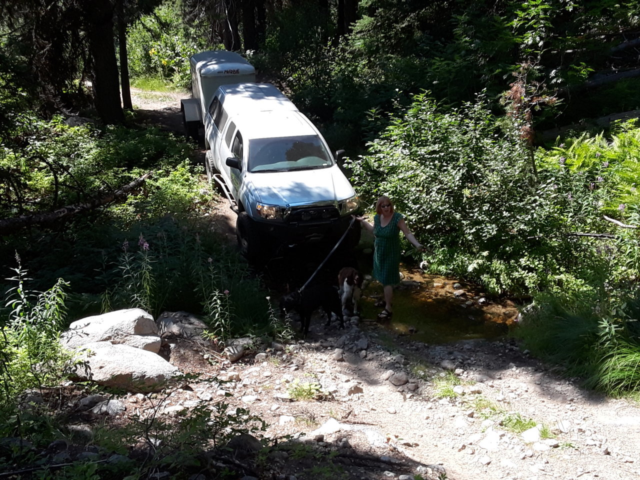 20180812_143800.jpg