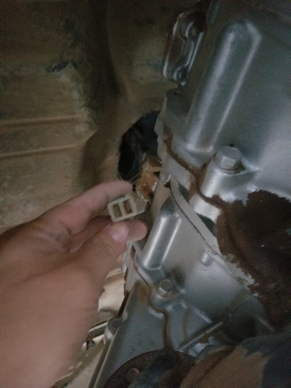 20180812_184912.jpg