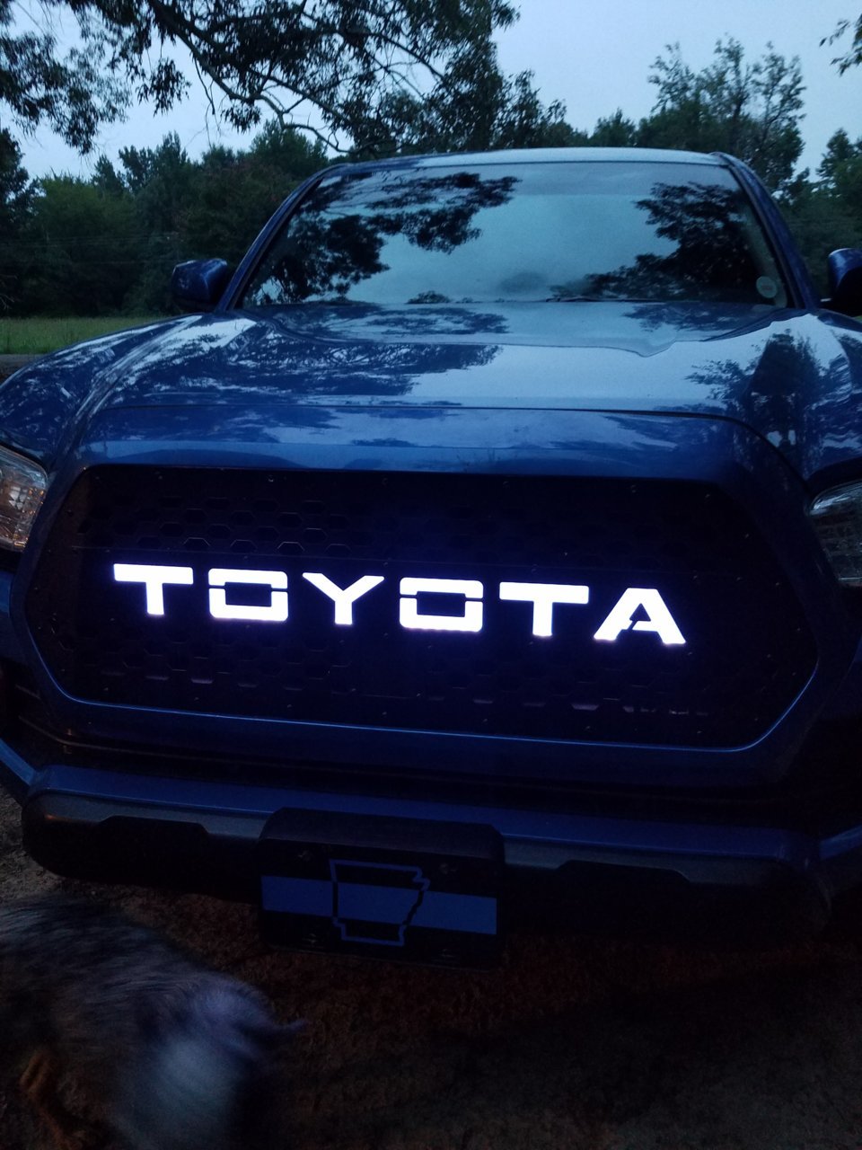 20180812_201052.jpg