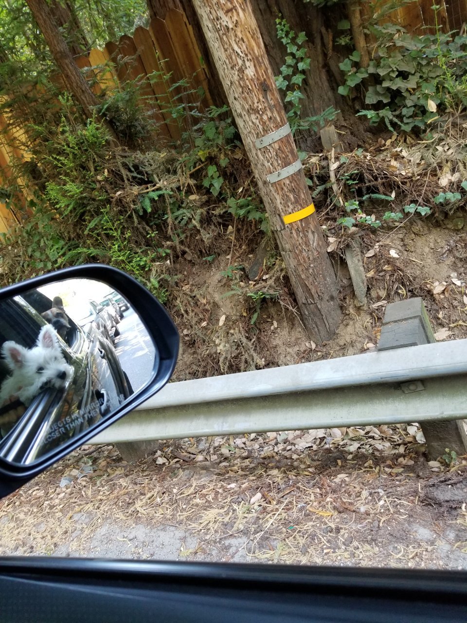 20180813_144318.jpg