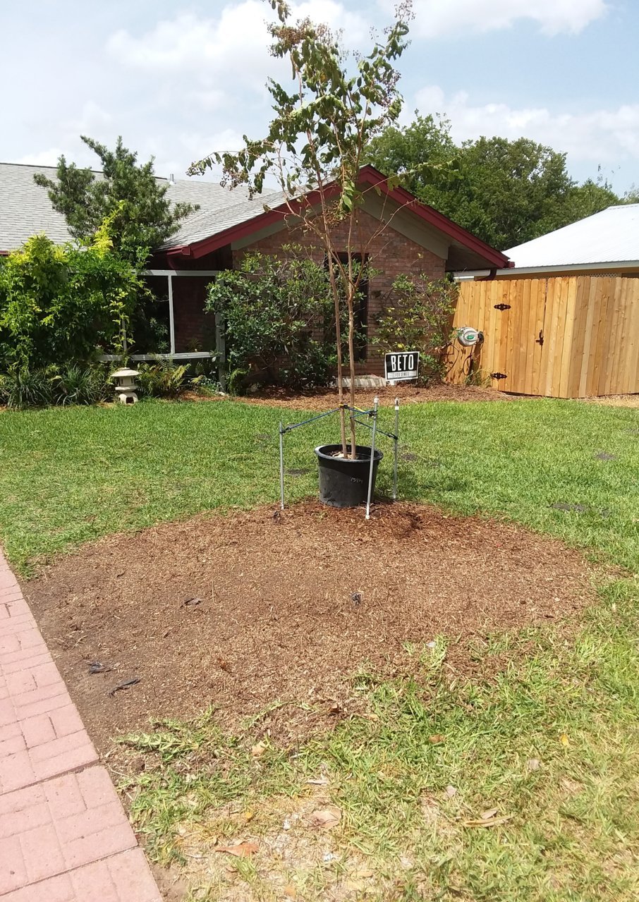 20180813_145425.jpg