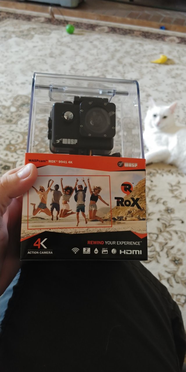20180813_155655.jpg