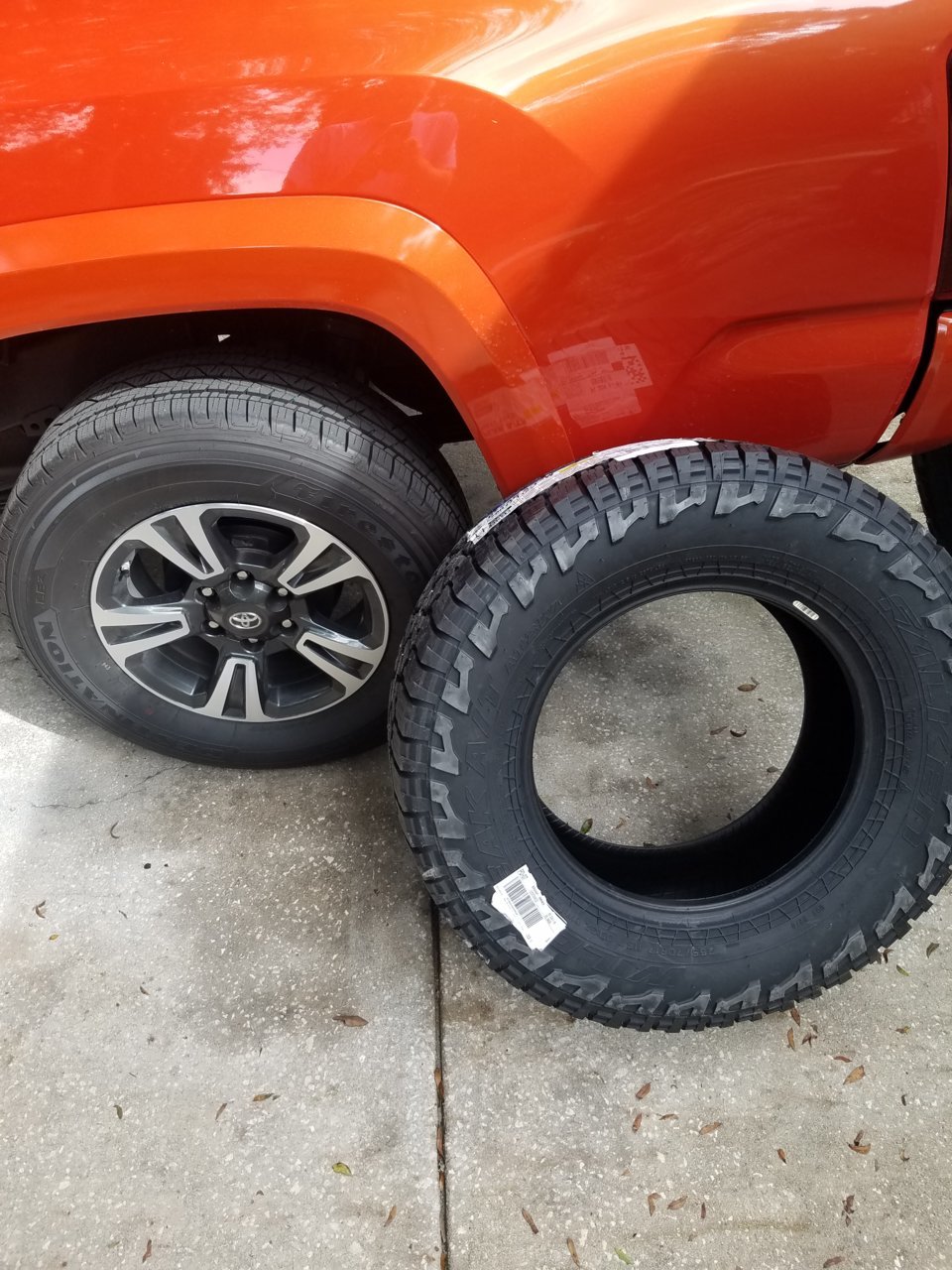 20180813_164254.jpg