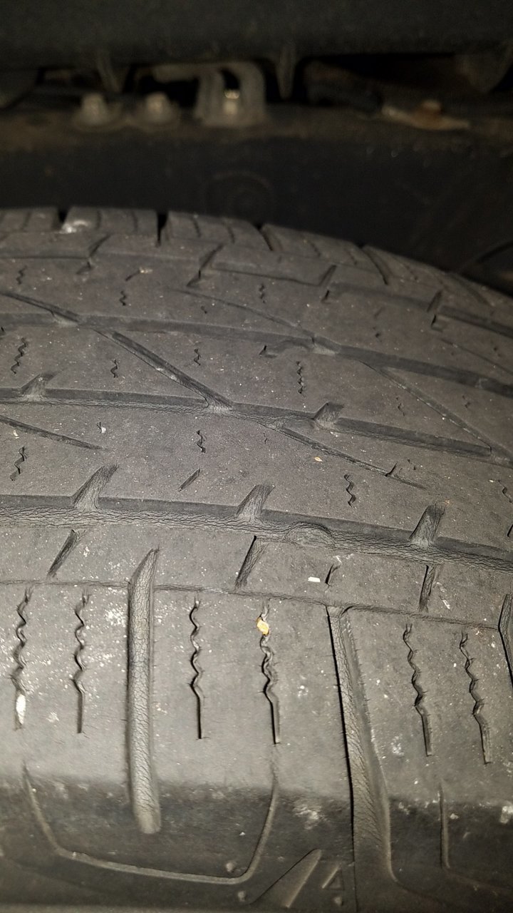 20180813_182041.jpg