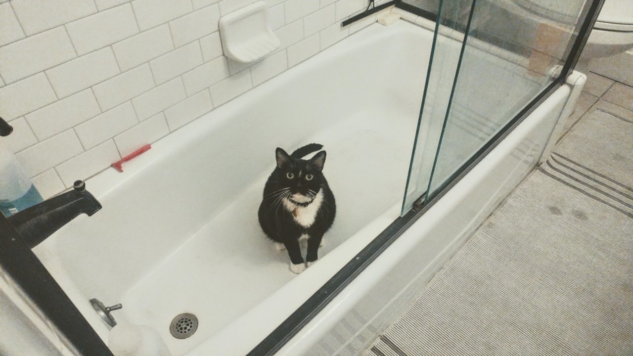 20180815_085337~2.jpg