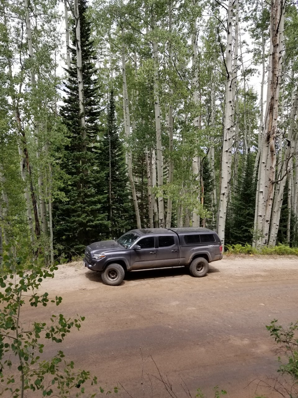20180815_132326.jpg