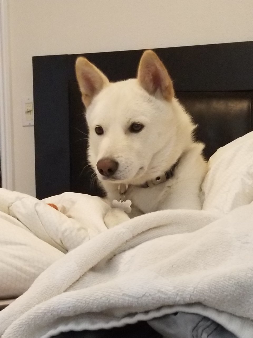 20180815_164653.jpg