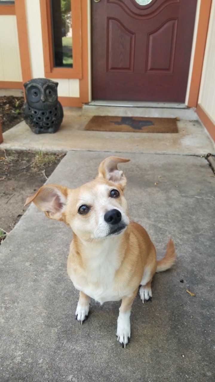 20180816_095941.jpg