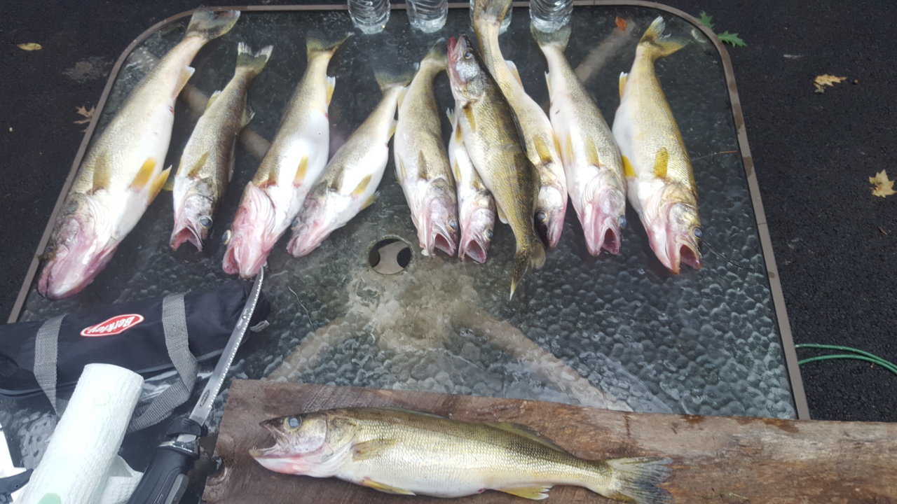 20180816_175320.jpg