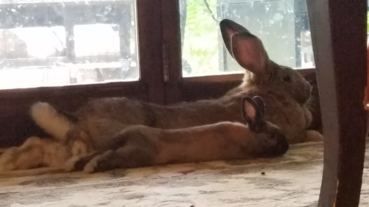 20180816_182533.jpg