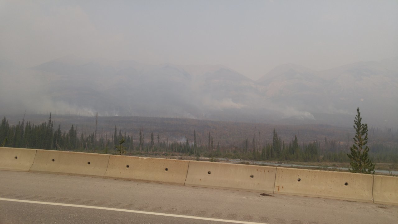 20180817_154754.jpg