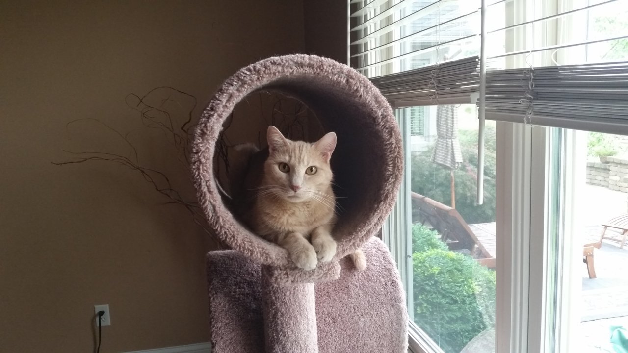 20180818_085151.jpg