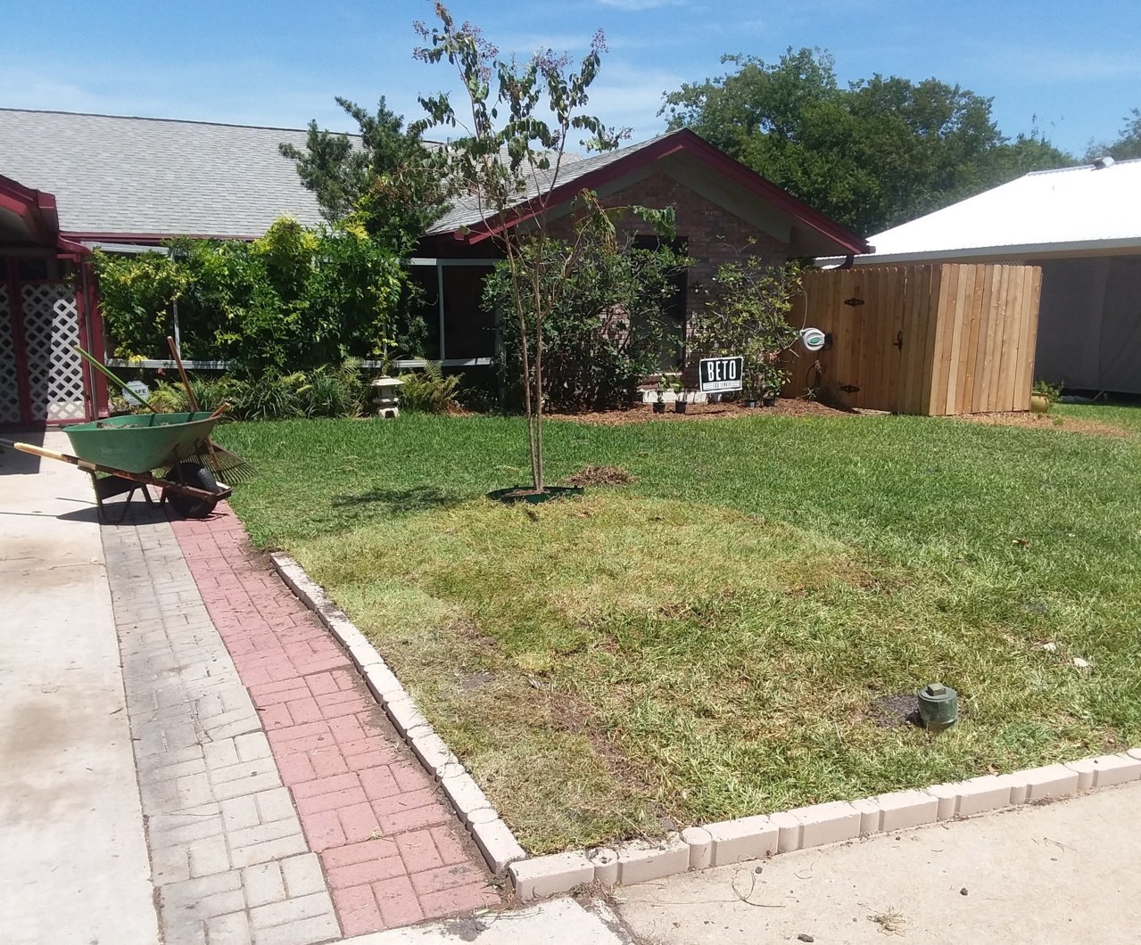 20180818_125135.jpg