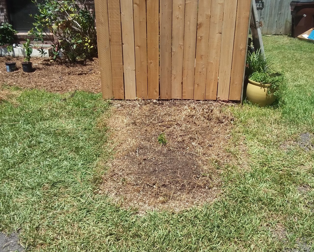 20180818_135103.jpg
