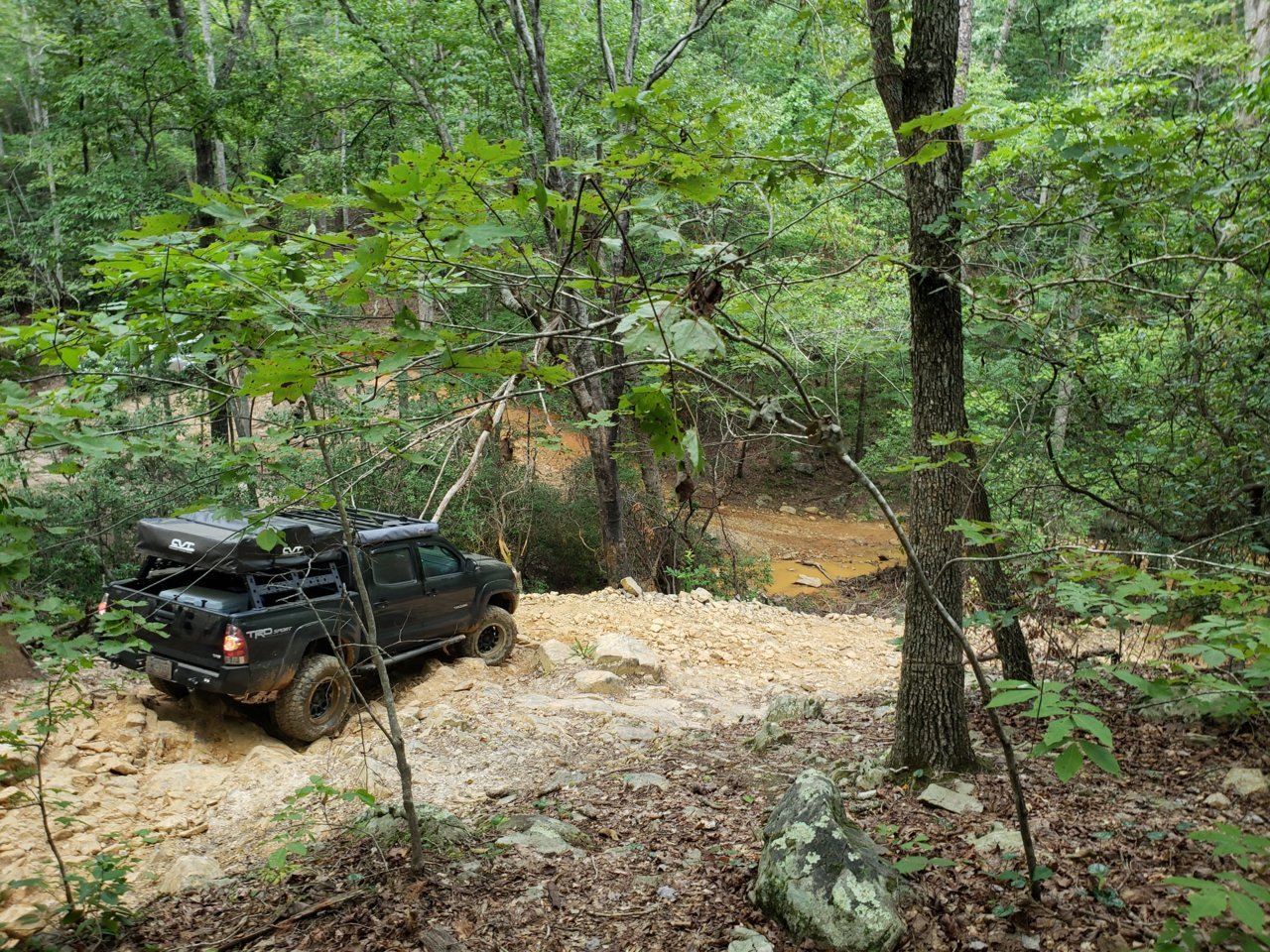 20180818_151836.jpg
