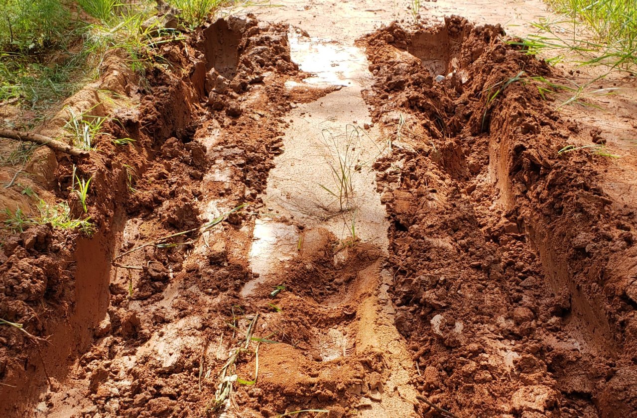 20180818_162309.jpg