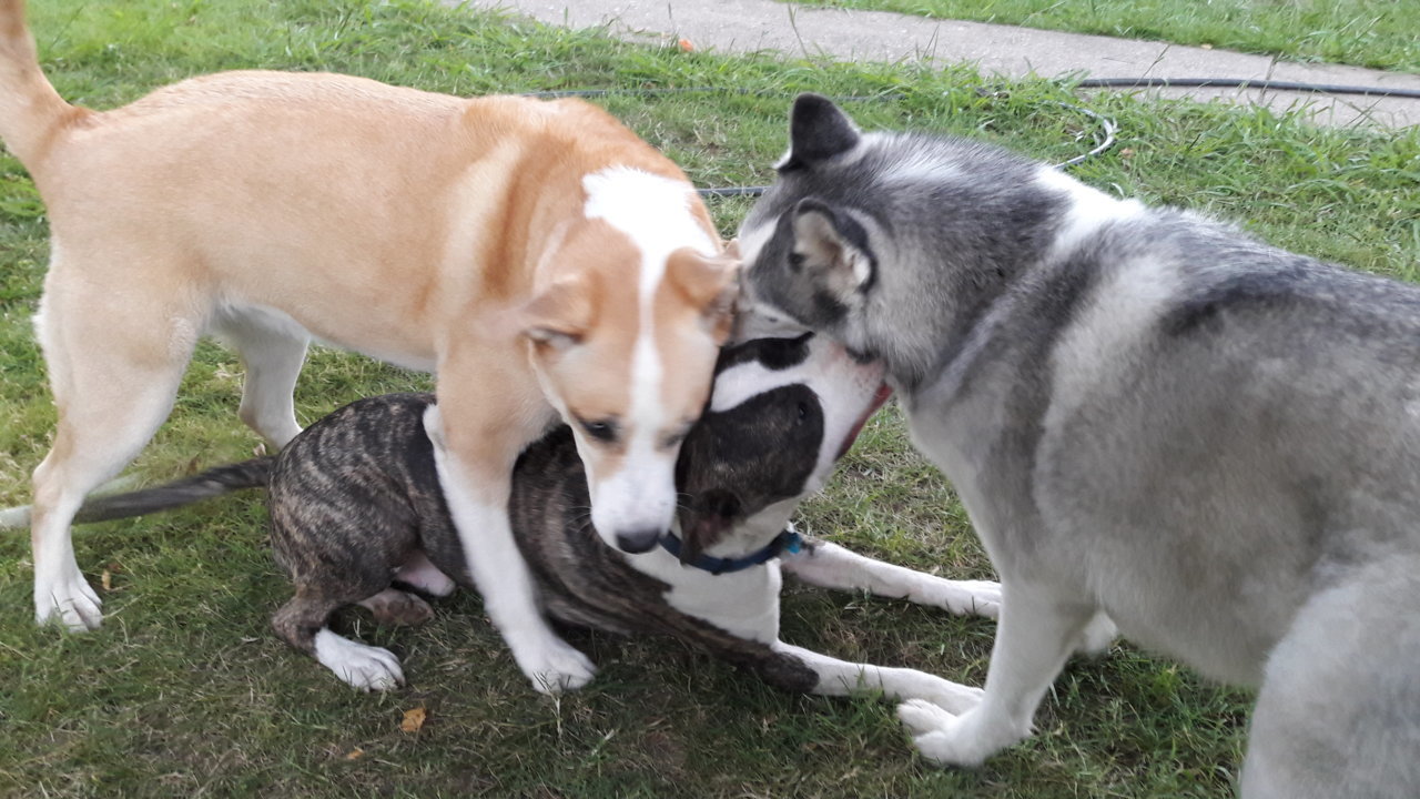 20180818_194557.jpg
