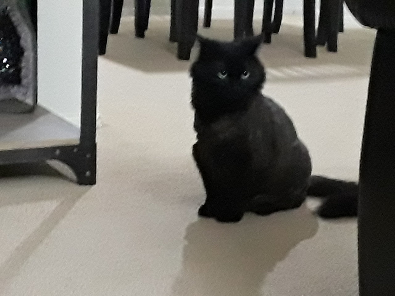 20180818_201646.jpg
