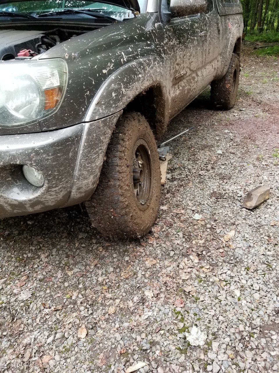 20180819_110456.jpg