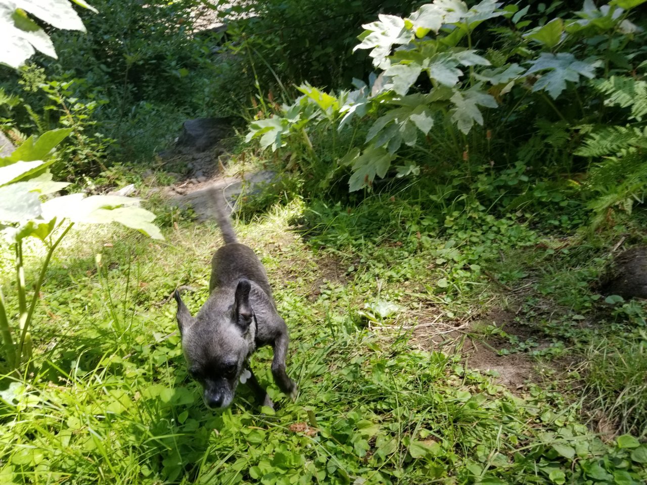 20180819_110834.jpg