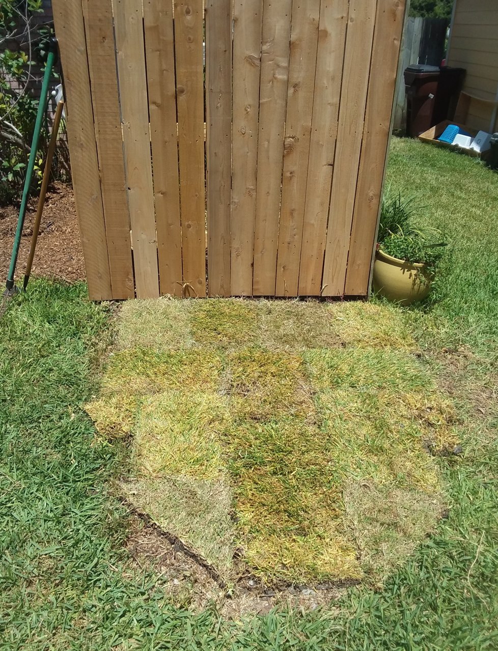 20180819_132011.jpg