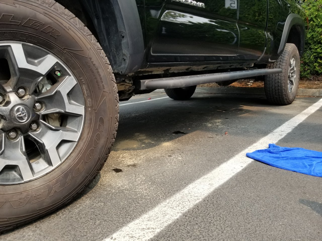 20180819_132915.jpg